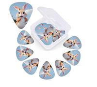 Cartoon Rabbit Print Guitar Picks 12 Pack with Organizer Storage Box Guitar Accessories Ukulele for Acoustic Guitar Bass Gift