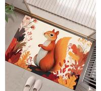 Cartoon Squirrel Doormat - Inside And Outside Welcome Mat, Orange Color Indoor Front Doormat With Non-Slip Backing, Heavy Duty Entrance Mat, 40 X 60 Cm Cute Animals