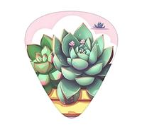 Cartoon Succulents Guitar Plectrums Classical Triangle Bass Acoustic And Electric Guitar Plectrums For Guitarists 12 Pieces