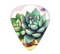 Cartoon Succulentsguitar Plectrum 12 Piece Set, 3 Thicknesses With Case For Bass Guitar, &Electric Guitar And More.