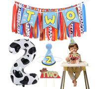 Cartoon Toy Highchair Banner for 2nd Birthday Party Decorations Two Infinity and Beyond High Chair Tassel Garland for Boys Girls Western Cowboy Two Birthday Photo Props Backdrop Decor with Cake Topper