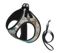 Cartoon World map Print Soft Pet Harness and Leash Set, Adjustable Mesh Puppy Vest Harness for Small Large Large Dogs and Cats