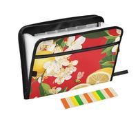 Cartoon Yuzu Fruit Red Expanding File Folder 13 Pockets A4 Letter Size with Zipper Closure for Expanding File Folder with Labels
