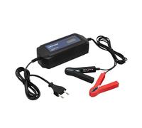 cartrend Car Charger DP 4.1 for Auto Start Function After Power Outages, Maintenance-Free, Lead Acid, GEL, EFB, AGM, Cars, Motorcycles, Boats and Tractors, Microprocessor Technology, Black, 4A