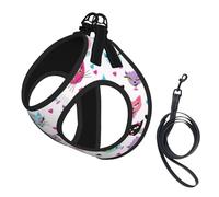 carttoon cat Print Step in Dog Harness and Leash Set,Mesh Pet Vest Harness for Small Dogs and Cats