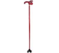 Carved walking stick, Dragon/Phoenix Head Decorated Walking Cane for Men and Women, Hand-Carved Beech Wood Mobility
