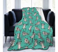 Carwayii Raccoon Blanket Throw for Women Men - Soft Animal Flannel Plush Sofa Blanket - Durable Travel Blanket - Green Birthday Gift 80"X60"