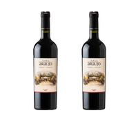 Casa Araujo by Bodega Araujo | Mendoza Malbec | Argentine Red Wine | 14% ABV | 2 x 75cl | Vibrant Fruity Well-Balanced Red