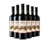 Casa Araujo by Bodega Araujo | Mendoza Malbec | Argentine Red Wine | 14% ABV | 6 x 75cl | Vibrant Fruity Well-Balanced Red