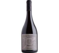 Casa Valduga Terroir Pinot Noir 2023, Vale dos Vinhedos, Brazil