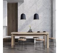 Casablanca Clavio pendant 2-bulb, anthracite/black