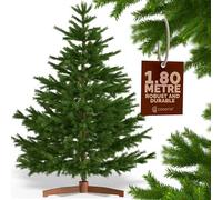 CASARIA® Premium Luxury Realistic Artificial Christmas Tree | Christmas Tree with stand for Christmas Decorations & Ornaments | Natural Dense Branches | Home Decoration Xmas Tree | Green | 6FT / 180cm