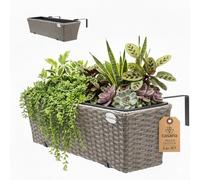 Window Box 2Pcs Set Cream 60x20x19cm
