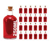 casavetro 250ml Glass Bottles with Cork Lids 24 Pcs Reusable Airtight Glass Bottle for Home Made Sloe Gin Liqueur Schnapps Wine Cider Soda Vodka Vinegar Oil Bottles - New-Bost (24 x 250 ml)