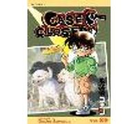Case Closed, Vol. 29: Volume 29