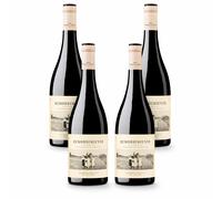 Case deal - 2023 Remordimiento Red, Bodega Cerron