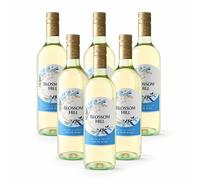 Case Deal - Blossom Hill Crisp & Fruity White Wine 750ml