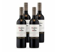 Case deal - Casillero Del Diablo Malbec 75cl