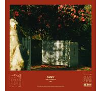 CASEY - HOW TO DISAPPEAR (TRANSPARENT YELLOW) [VINYL]