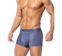 Casey Kevin Men's Modal Underwear Ice Silk Boxers Shorts Soft Breathable Boxer Briefs Microfibre Trunks Thin Mesh Underpants Low Rise Pouch Pants, Light Blue XL