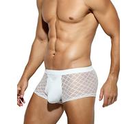 Casey Kevin Mens Sexy Underwear Lace Boxer Briefs See Through Trunks Breathable Mesh Underpants,Ck2116-white,L