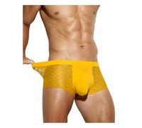Casey Kevin Mens Sexy Underwear Lace Boxer Briefs See Through Trunks Breathable Mesh Underpants,Ck2116-yellow,L