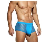 Casey Kevin Mens Sexy Underwear Lace Boxer Briefs See Through Trunks Breathable Mesh Underpants,Ck2116-blue,XXL