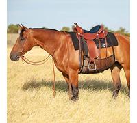 Cashel Quiet Ride Belly Guard Horse Black
