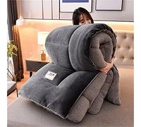 Cashmere Fabric Quilt Lamb Velvet Duvet,Bedding Fleece Quilts for Home Bedroom,Soft Luxury Thick Fluffy Warm Anti-allergy Wool Comforter (dark grey,150x200cm-2kg)