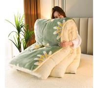 Cashmere Fabric Quilt Lamb Velvet Duvet, Contemporary All-Season, Bedding Fleece Quilts for Home Bedroom,Soft Luxury Thick Fluffy Warm Anti-allergy Wool Comforter,001,150x200cm(2.5kg)