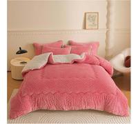 Cashmere Fabric Quilt Lamb Velvet Duvet, Double-sided Velvet Warm Quilt Core, Fleece Quilts for Home Bedroom, Soft Luxury Thick Fluffy Warm Anti-allergy Wool Comforter,002,200x230cm(5kg)