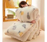 Cashmere Fabric Quilt Lamb Velvet Duvet, Double-sided Velvet Warm Quilt Core, Soft Thick Fluffy Warm Anti-allergy Hypoallergenic Wool Comforter,003,180 * 220cm(4kg)