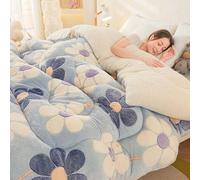 Cashmere Fabric Quilt Lamb Velvet Duvet, Double-sided Velvet Warm Quilt Core, Winter Soft, Luxury Thick Fluffy Warm, Hypoallergenic Wool Comforter,014,200x230cm(5kg)