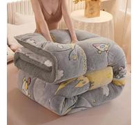 Cashmere Fabric Quilt Lamb Velvet Duvet, Thickened fluffy comforter, Soft Fluffy Heavy Warm, Anti-allergy, Hypoallergenic Wool Comforter, Spring, autumn and winter bedding,008,1.5 * 2m=(2kg)
