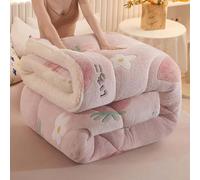 Cashmere Fabric Quilt Lamb Velvet Duvet, Thickened fluffy comforter, Soft Fluffy Heavy Warm, Anti-allergy, Hypoallergenic Wool Comforter, Spring, autumn and winter bedding,002,1.5 * 2m=(3.5kg)