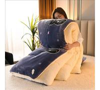 Cashmere Fabric Quilt Lamb Velvet Duvet, Winter Soft Luxury Thick Fluffy Warm Anti-Allergy Hypoallergenic Wool Comforter,C,200 * 230cm (4kg)