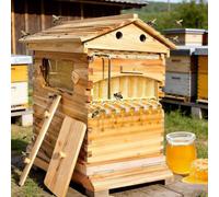 Cashwise Flow Hive Beehive,Pine Beehive Starter Kit, Beehive Beekeeping Equipment with 7 Flowing Beehive Frames/Observation Window, for Backyard Beekeeping or Small-Scale Apiaries