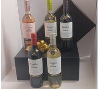 Casillero del Diablo Wine Gift Set, Mixed Varieties Collection, Premium Wine Hamper