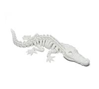 CASOME 3D Printed Dinosaur Skeleton Model - Articulated Fossil Figurine With Movable Joints, Realistic Prehistoric Display For Desktop, Office & Collector Decor(C)