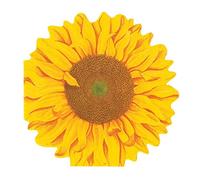 Caspari Girasol Die-Cut Paper Linen Party Napkins - 15 Per Package