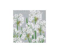 Caspari Paperwhites Paper Party Cocktail Napkins in Silver - 20 Per Package