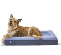 Casper Dog Bed, Plush Memory Foam, Large, Blue, 35.0" L x 45.0" W x 7.0" Th