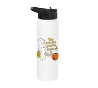 Casper the Friendly Ghost Halloween Like You've Seen a Ghost Stainless Steel Insulated Water Bottle