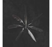 Caspian - Dust And Disquiet [VINYL]