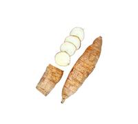 Cassava 17-18kg - Fresh Whole Cassava Root, Premium Quality, Starchy Root Vegetable for Cooking, Frying, Boiling, Baking, Ethnic Cuisine, Restaurants & Catering Use