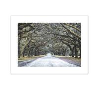 Cassell Tree Tunnel Road Canvas Wall Art Print