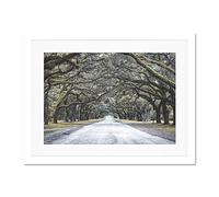 Cassell Tree Tunnel Road Large Art Print Poster Wall Decor 18x24 inch Supplied Ready To Hang With Included Mount Brackets