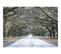 Cassell Tree Tunnel Road Large Canvas Wall Art Print