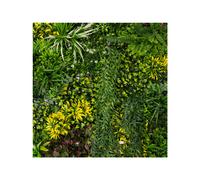 Monstershop Cassia Artificial Wall Tile x 3 - 100cm x 100cm, Green