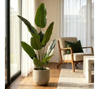 Cassilando Artificial Bird Of Paradise Plant 5Ft/150Cm-Lifelike Fake Banana Leaf, Large Realistic Potted Plant For Indoor Decor